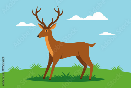deer in the forest