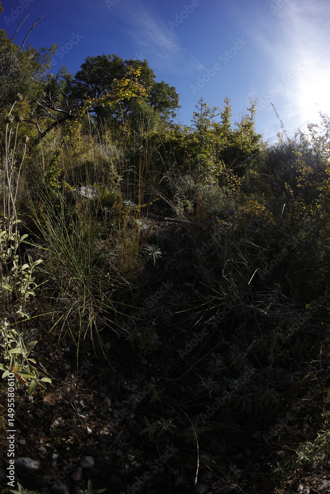 Fototapeta premium Coast near Sutomore, montenegro in autumn