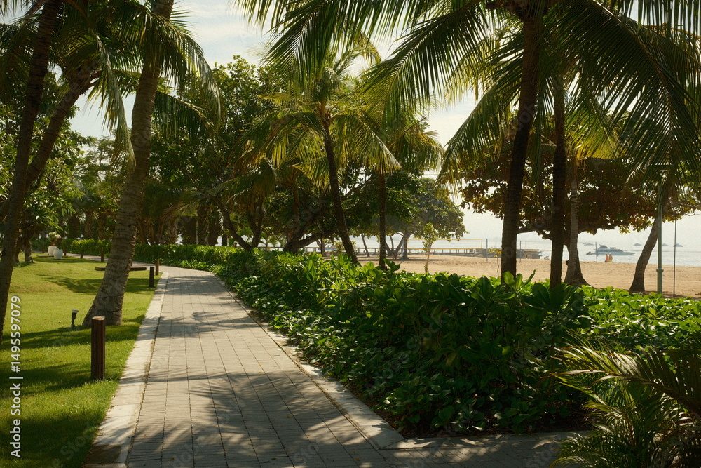 Fototapeta premium A morning scenic beach pathway lined with palm trees and lush greenery