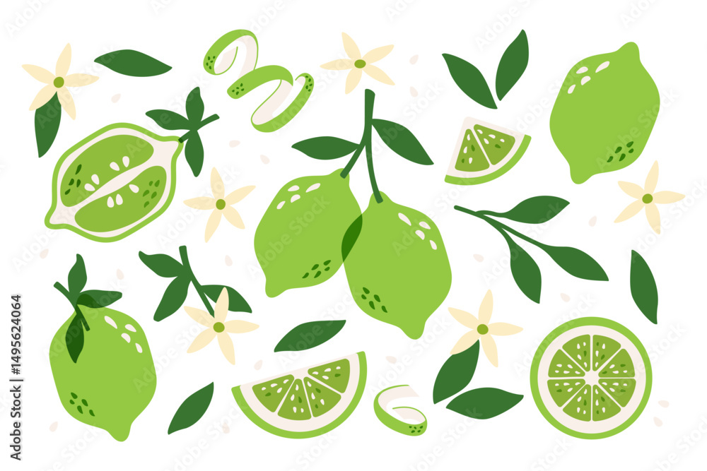 Lime fruits. Fresh citrus with leaves, ripe green limes whole and cut pieces, abstract citric fruit with leaf, peel and flowers, natural organic sweet sour lemonade. Vector cartoon lemons set Lime fruits. Fresh citrus with leaves, ripe green limes whole and cut pieces, abstract citric fruit with leaf, peel and flowers, natural organic sweet sour lemonade. Vector cartoon lemons set