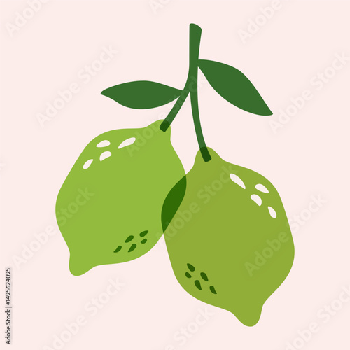 Lime on branch. Abstract citrus with leaves, botanical fruit elements with green lemon fruits, modern fresh lemonade ingredient riso print effect. Vector lime tree illustration