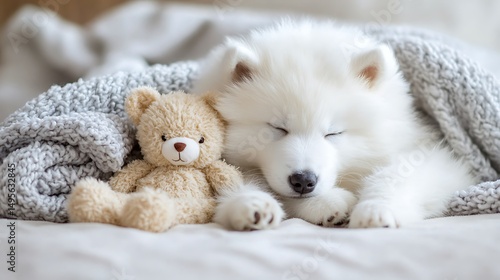 A samoyed puppy sleeping in a wicker basket, looking peaceful