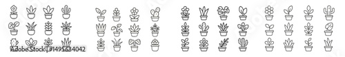Selection of hand-drawn plant illustrations in various pots showcasing diverse botanical shapes and sizes for design inspiration
