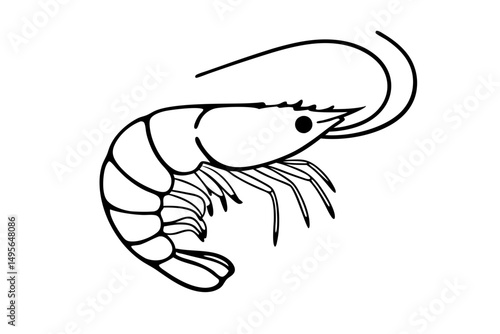 One line shrimp drawing for seafood illustration