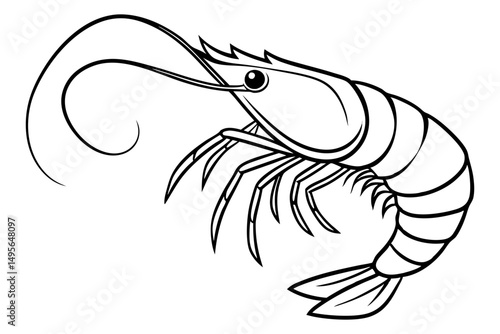 Minimal shrimp sketch in continuous line style