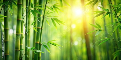 Serene Bamboo Forest Sunlight Illuminates Lush Green Stalks and Vibrant Foliage in a Tranquil Natural Setting