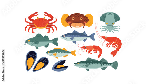 sea fish and sea shell set vector isolated white background