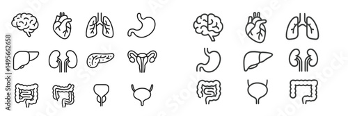 Health and anatomy symbols depicting various human organs in a clean, minimalist design on a white background for educational purposes