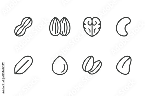 Variety of simple hand-drawn nut and seed illustrations against a plain background showcasing diverse shapes and sizes