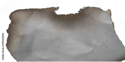 Singed document remnant with curving burn scars and authentic fold marks, ideal for ruins-themed artworks, explorer journals, and retro ephemera visual sets