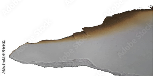 Ash-colored paper piece with brittle edge tears and dark burned crinkles, ideal for ancient text overlays, horror zines, and hand-crafted grim artwork themes