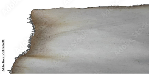 Wrinkled sheet with jagged fire lines and isolated char marks in vector format, great for thematic labels, gothic flyers, or ruined journal cover mockups