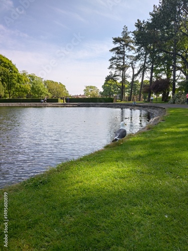 golf course on the river