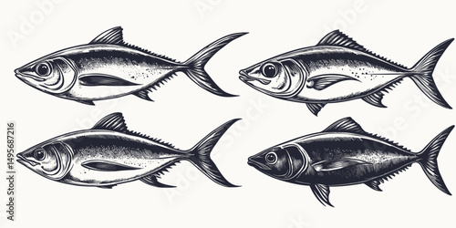 Vintage tuna illustrations with detailed linocut style, perfect for seafood branding, restaurant menus, and maritime decor