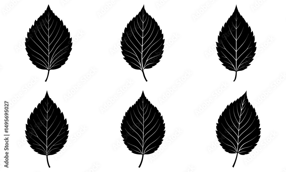 Fototapeta premium Elm Leaf Silhouette vector illustration