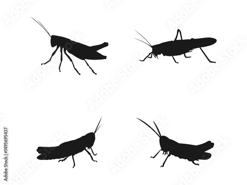 Vector illustration of a black silhouette of a grasshopper. Silhouettes of Grasshoppers in Different Positions. Grasshopper logo icon, side view profile. vector on a white background.