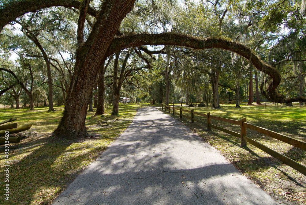 Fototapeta premium Dade Battlefield Historic State Park Bushnell, Florida