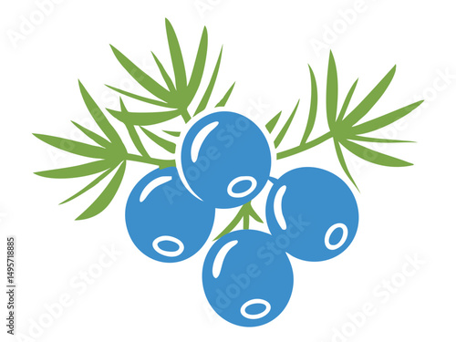 Juniper berries logo vector icon, Fresh berries with leaves vector illustration on a white background