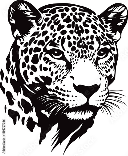 leopard on black background