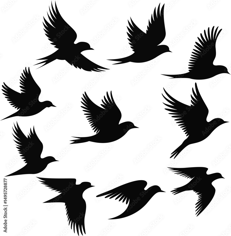 Fototapeta premium Freedom in Flight Bird Silhouette at Sunrise