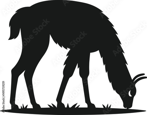 llama alpaca silhouette animal vector drawing