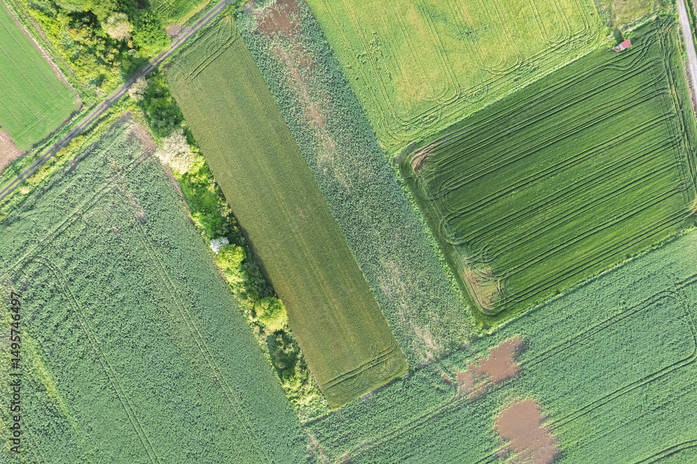 Fototapeta premium rural landscape with diverse crop fields from above, aerial drone top down view. Agricultural concept background