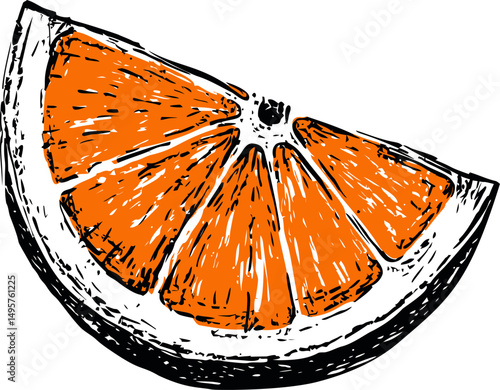Orange slice with hand-drawn texture, graphic illustration. Vector illustration