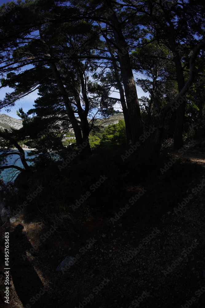 Obraz premium Coast in montenegro, Sutomore beach