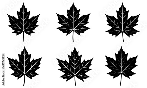 Maple Leaf Silhouette vector