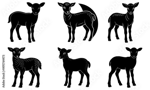 Lamb Silhouette vector