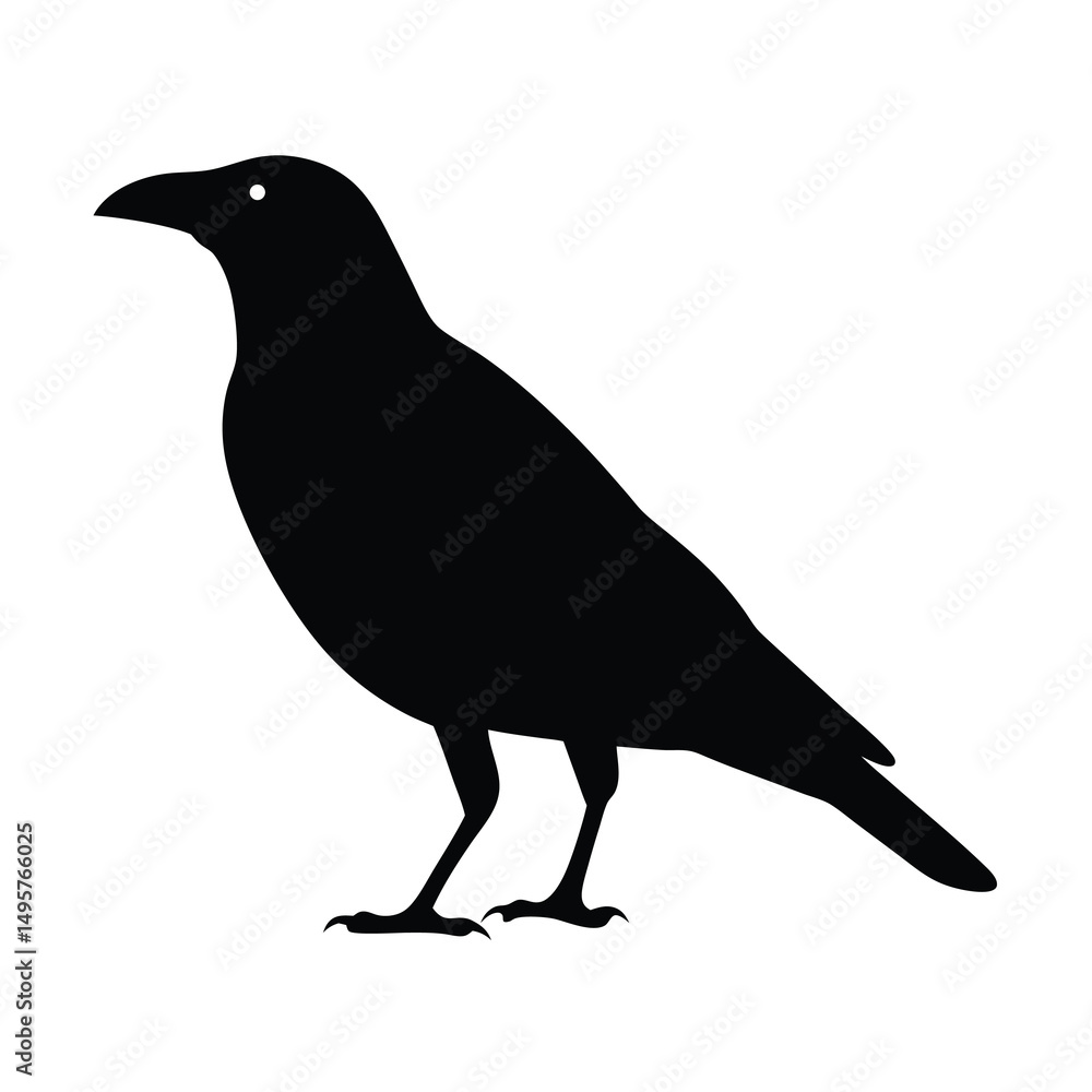 Fototapeta premium Silhouette of a watchful black bird standing isolated on a white background