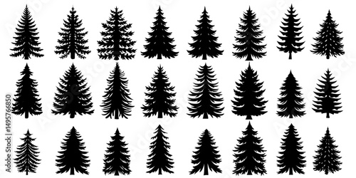 Diverse Evergreen Tree Silhouettes Description 2: Twelve evergreen tree silhouettes displayed in a structured arrangement, each showcasing a unique form and varying height for visual contrast