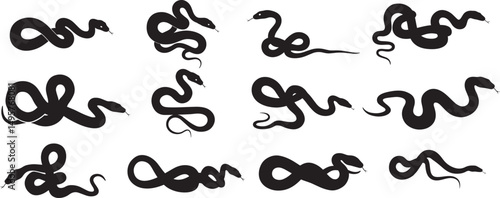 Collection of snake silhouettes vector illustration reptile serpent isolated clip art design graphic elements