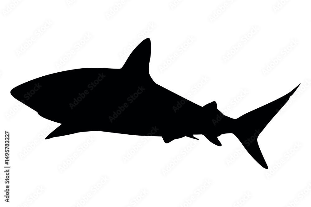 Obraz premium Vector art of Black shark silhouette isolated on transparent background