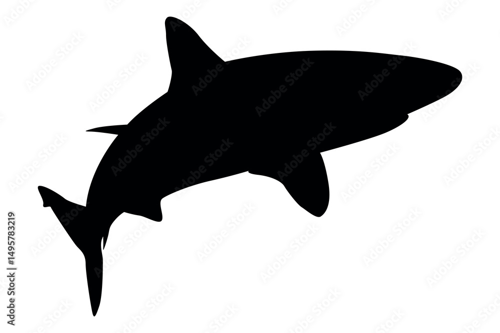 Obraz premium Vector art of Black shark silhouette isolated on transparent background