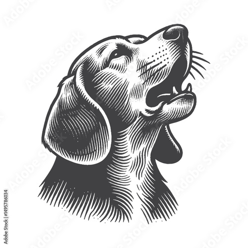 Vintage Hand-Drawn Beagle Illustration – Howling Dog Engraved Style Vector for T-Shirts, Posters, Stickers, and Pet-Themed Apparel