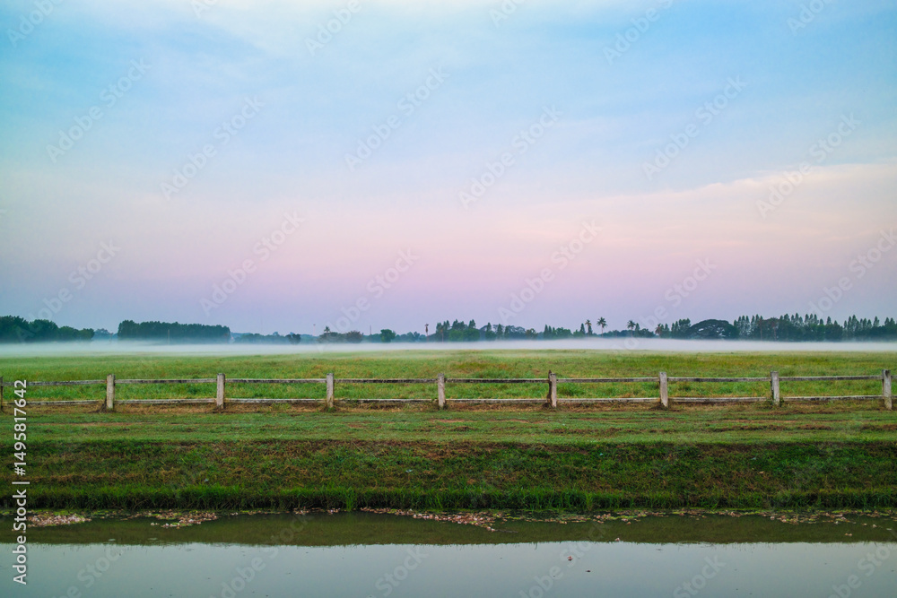 Obraz premium Rural landscape with morning mist over green field and canal