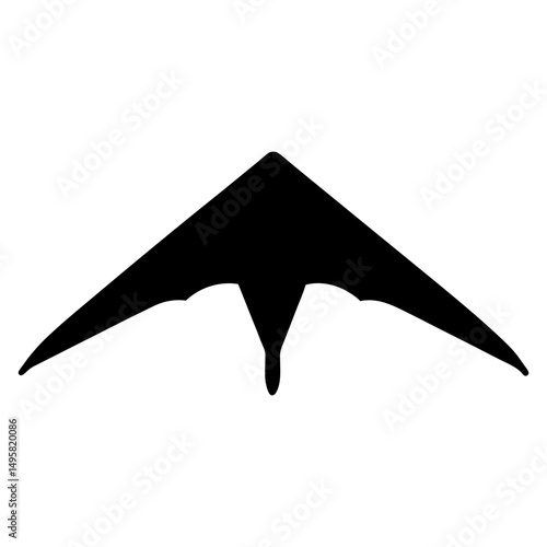 Silhouette of a hang glider soars against a bright white background