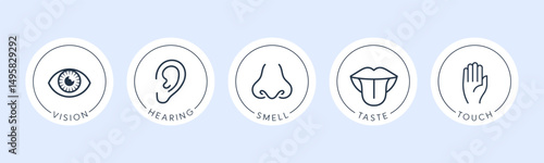 Vector illustration line icon set of five human senses. Vision, hearing, smell, taste, touch isolated on white background. Design eye, ear, nose, mouth with tongue and hand 