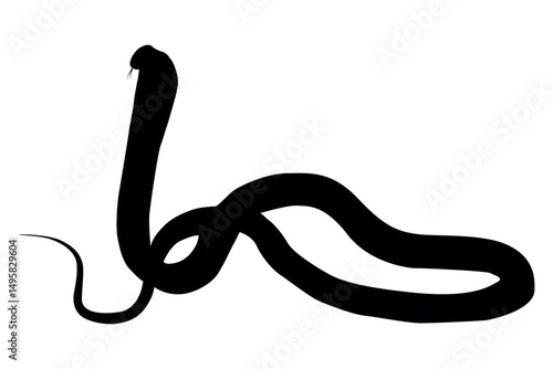 Black silhouette of a cobra snake with its hood flared and tongue flicking against a white background