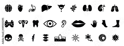 Human organ, anatomy icon set. Glyph pictograms of brain, heart, lungs, liver, stomach, intestine, kidney medical, healthcare, and biology concept black silhouette vector illustration.