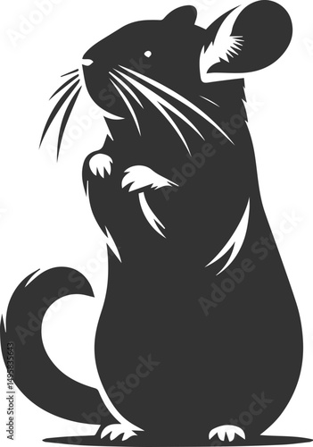 Vector chinchilla silhouette drawing