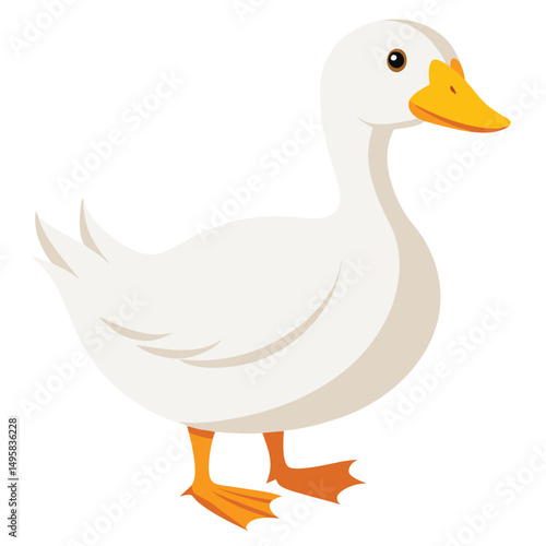 A white duck with an orange bill and feet stands looking to the left with white background