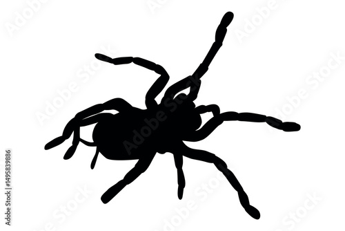 Vector art of Silhouette of a spider isolated on white background