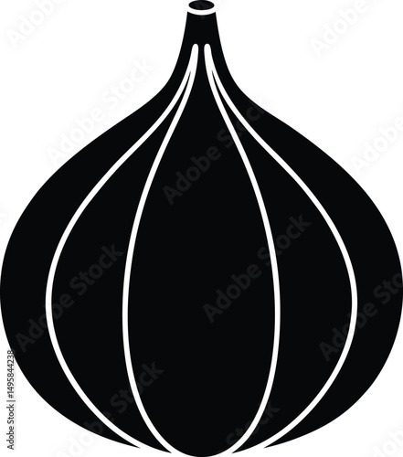 Garlic vector illustration 