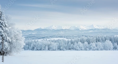 Wallpaper Mural Snowy winter landscape panorama Torontodigital.ca