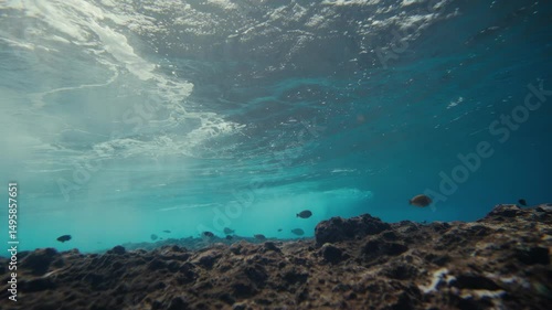 Tuvalu, Underwater, Waves, Reef 