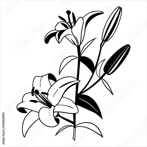 White lily of the valley isolated on white, a beautiful spring flower illustration for floral design and nature art