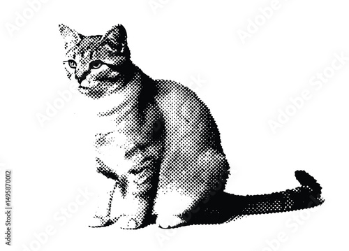 A halftone-style illustration Vector illustration for vintage emo gothic banner, music post