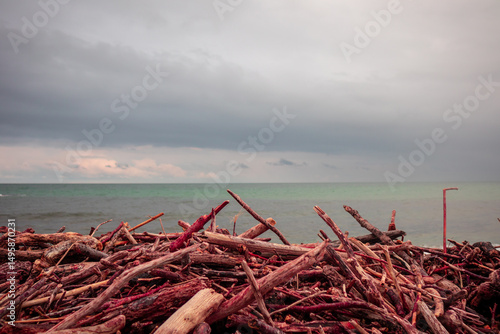 Beach leftover wood
